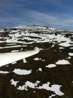 /album/photogallery/a536736-10150990576080409-515913570-n-jpg/